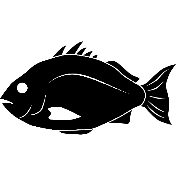 Farmed sea Bream (Sparus aurata)